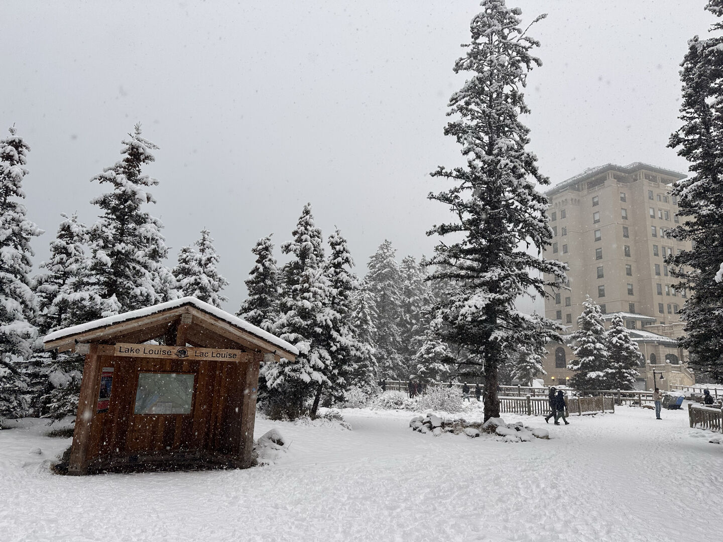 내년 여름에 또 오고싶고, 그때도 오케이투어로 오고싶네요 ㅎㅎ 