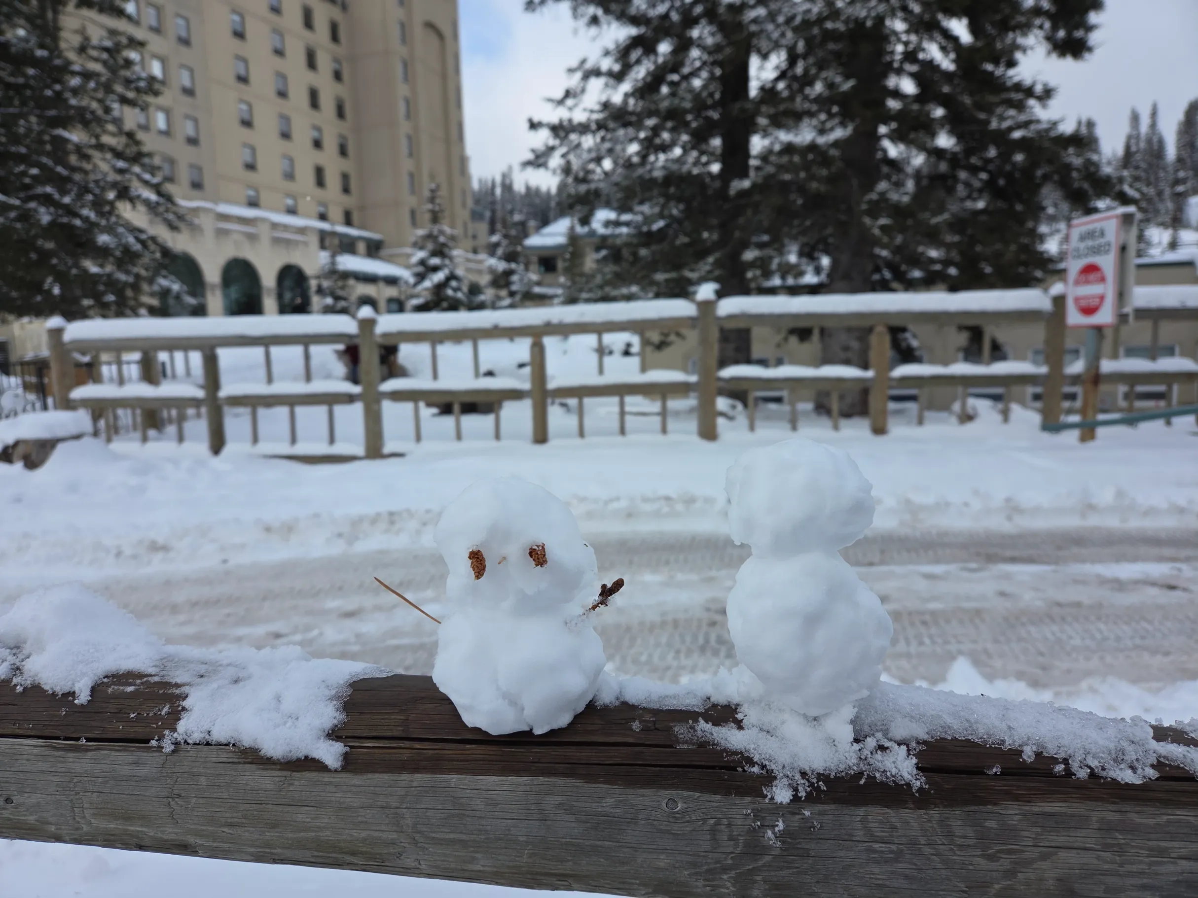 밴프 설경과 이야기 가득 투어