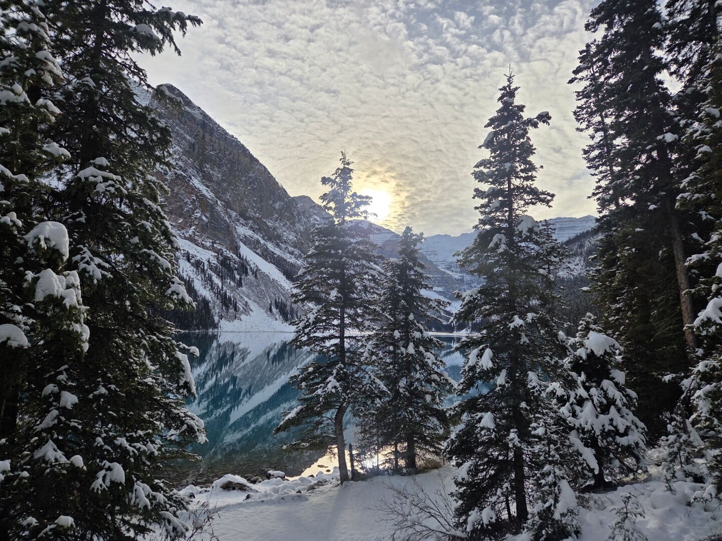 겨울 밴프 투어 완전 추천입니당!!!