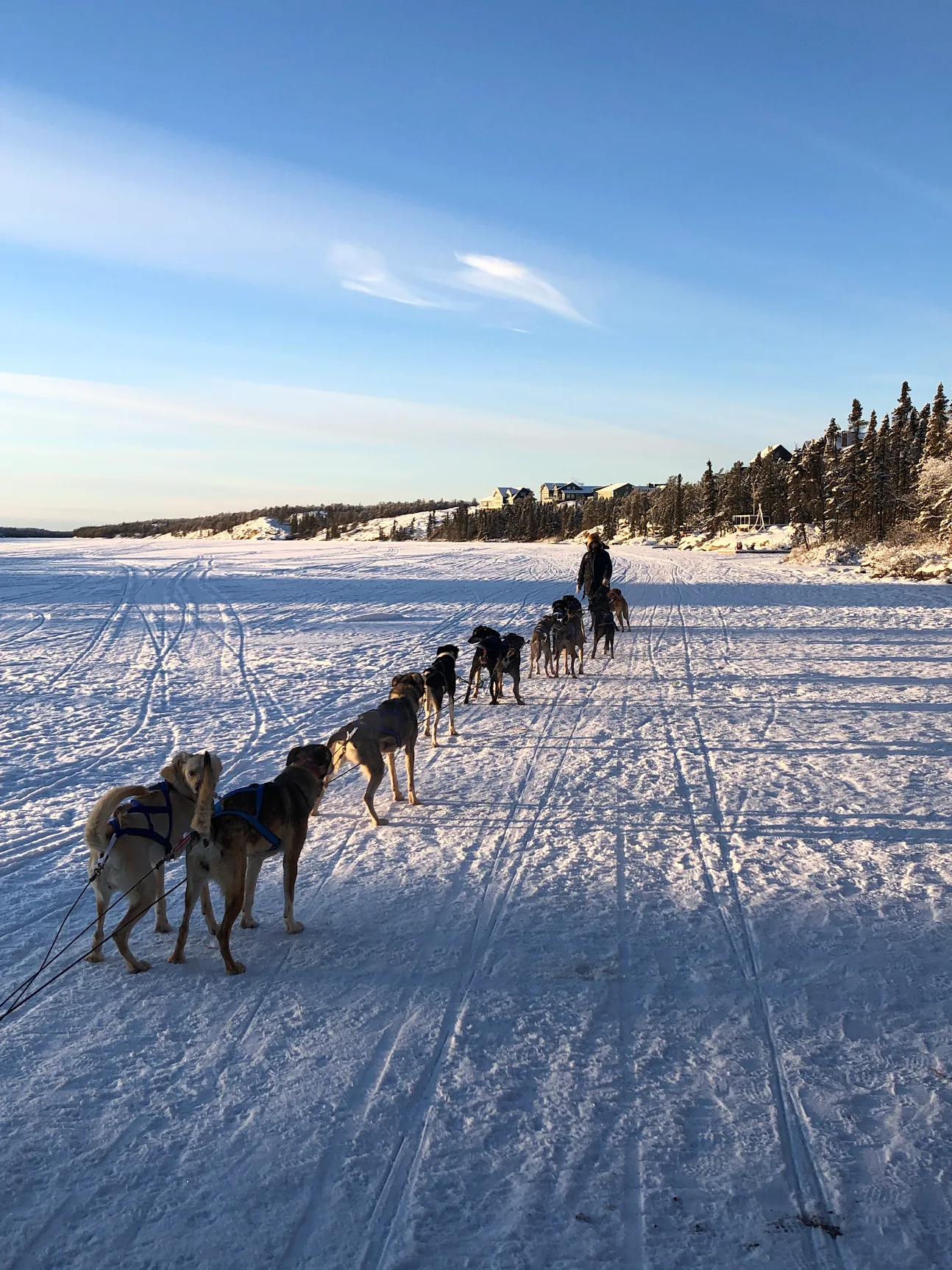 친구들이 옐로나이프 패키지 고민한다면 바로 추천할거예요
