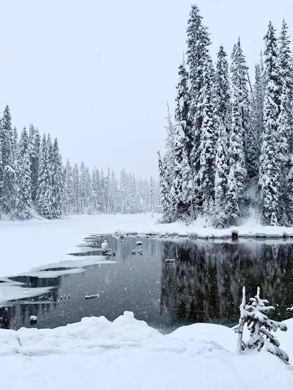 강력 추천합니다!
