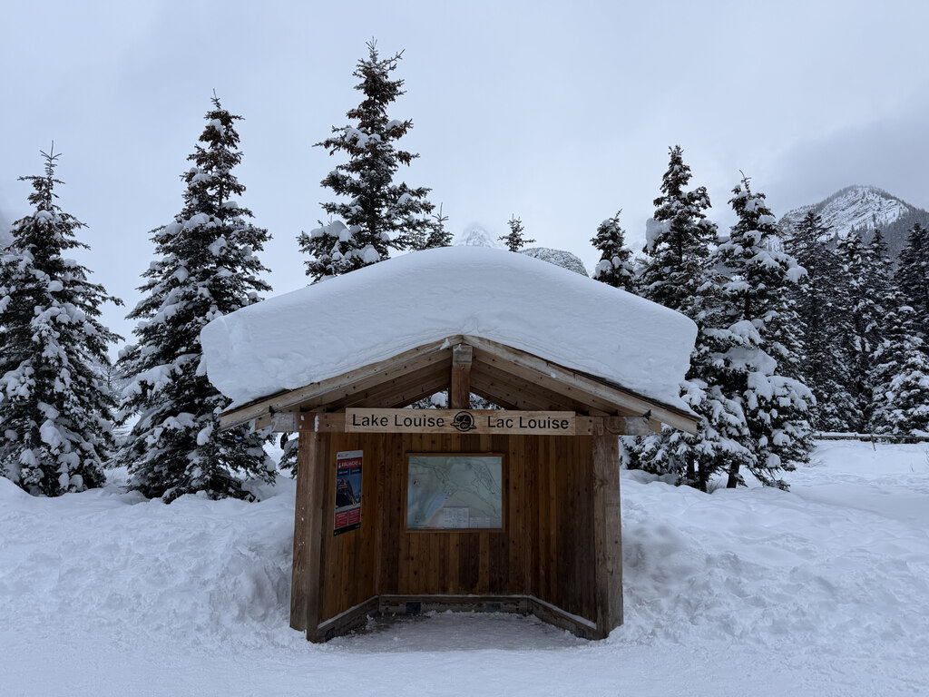 20년 경력 가이드와 함께한, 진짜 캐네디언 로키