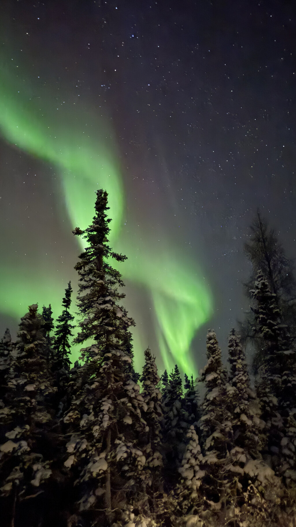 초록빛과 보랏빛 하늘 아래, 잊지 못할 오로라 경험