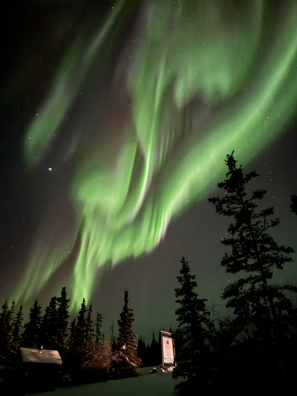 3일 내내 만난 오로라, 꿈이 현실이 된 옐로우나이프