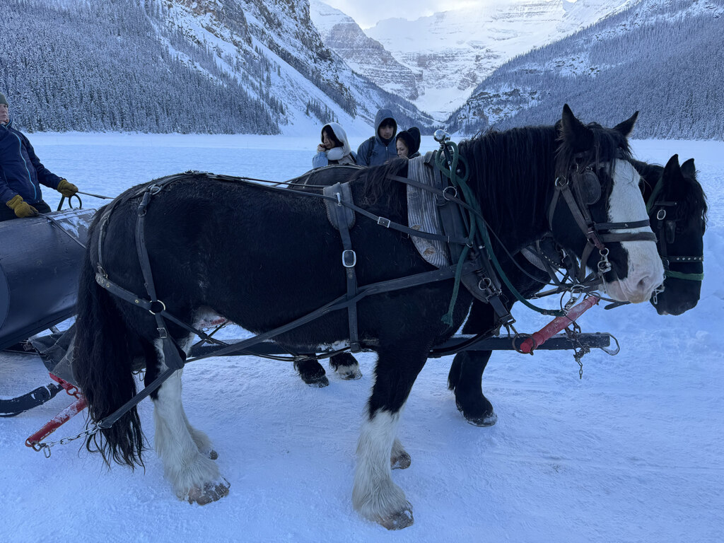 혼자여도 걱정 없는 겨울 밴프 여행, 이승훈 가이드님과 함께!