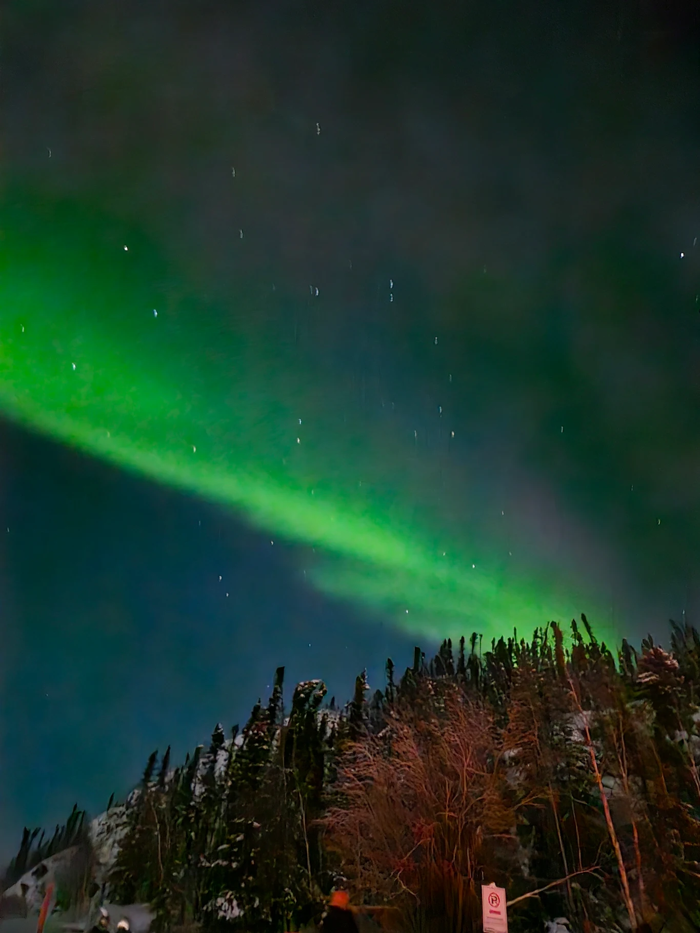 솔직 후기… 옐로우나이프 오로라, 이 선택이 정답이었어요