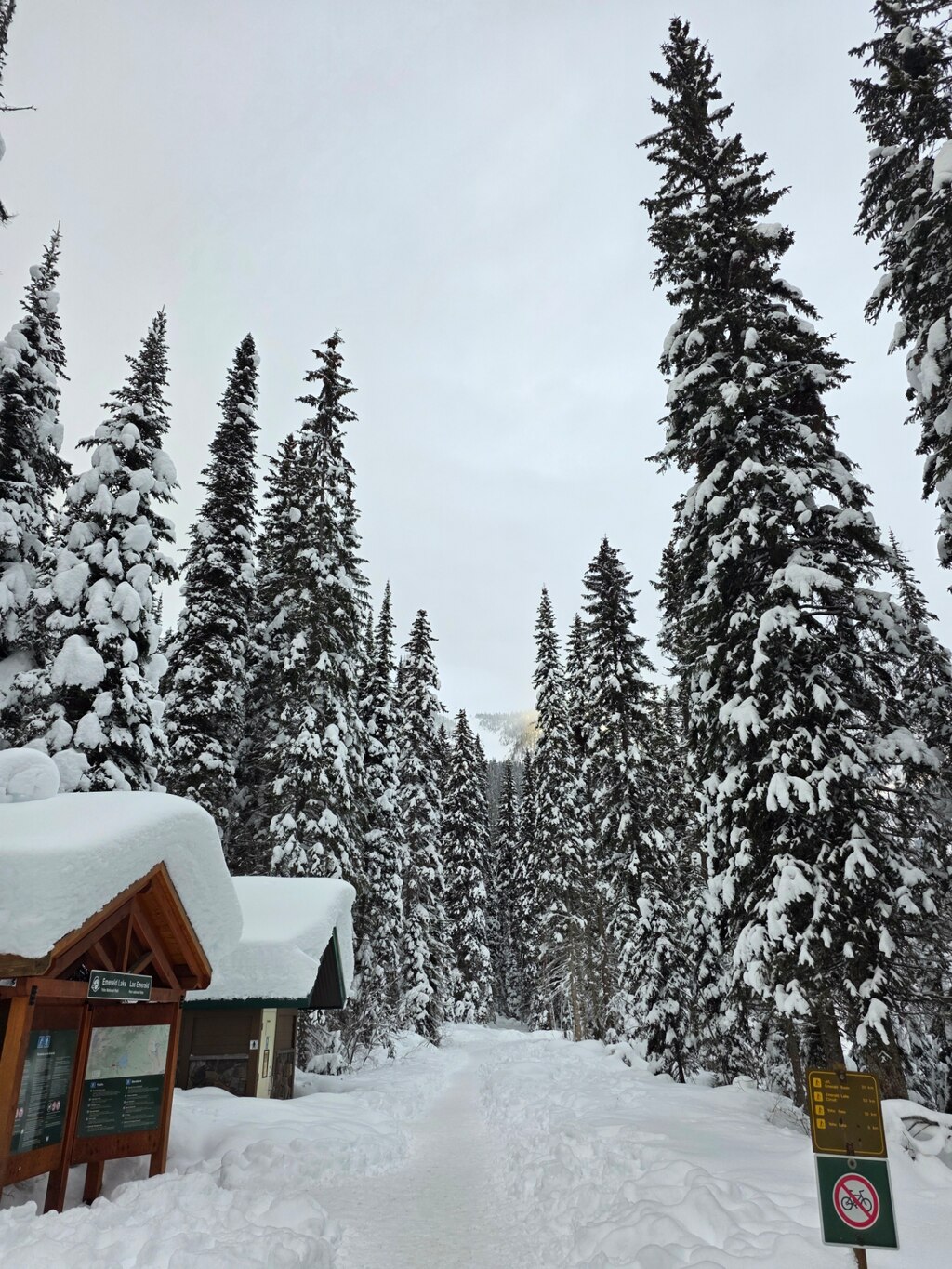 이동 시간마저 즐거웠던, 딸과 함께한 편안한 밴프 여행