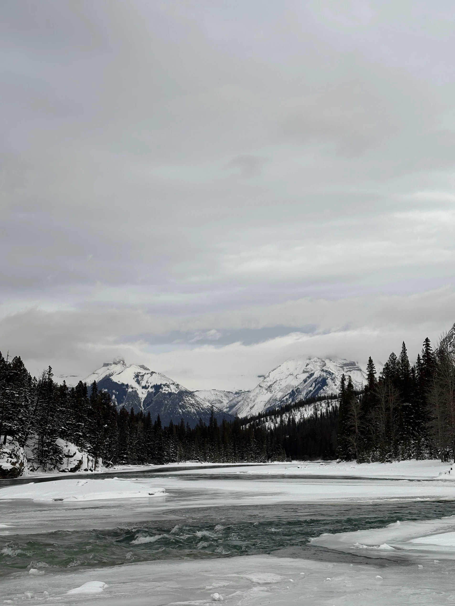 12월 눈 속 록키, 실물 보고 기절할 뻔했습니다