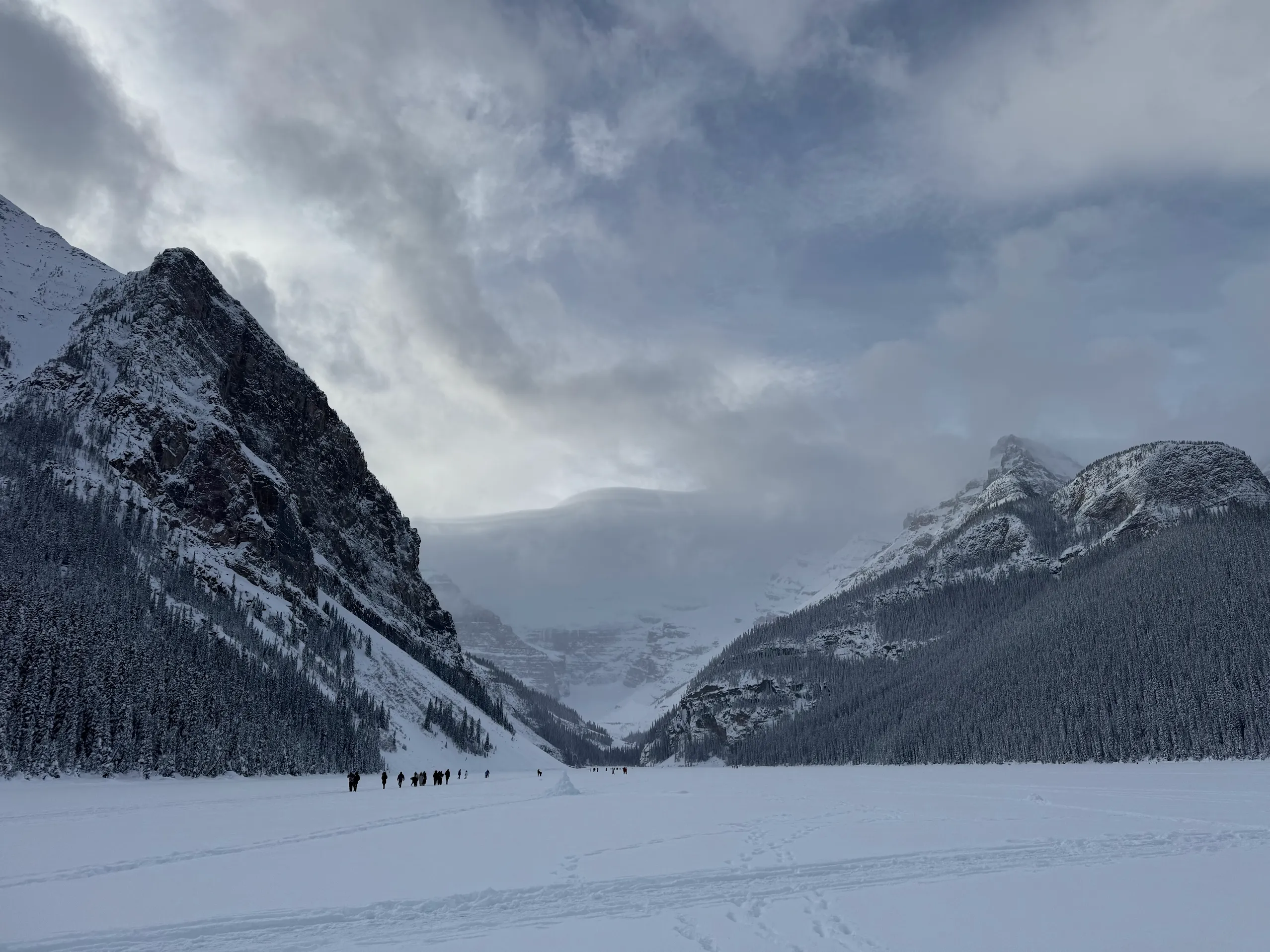 2025년 연말, 록키벤프에서 맞이한 완벽한 행복 한 조각