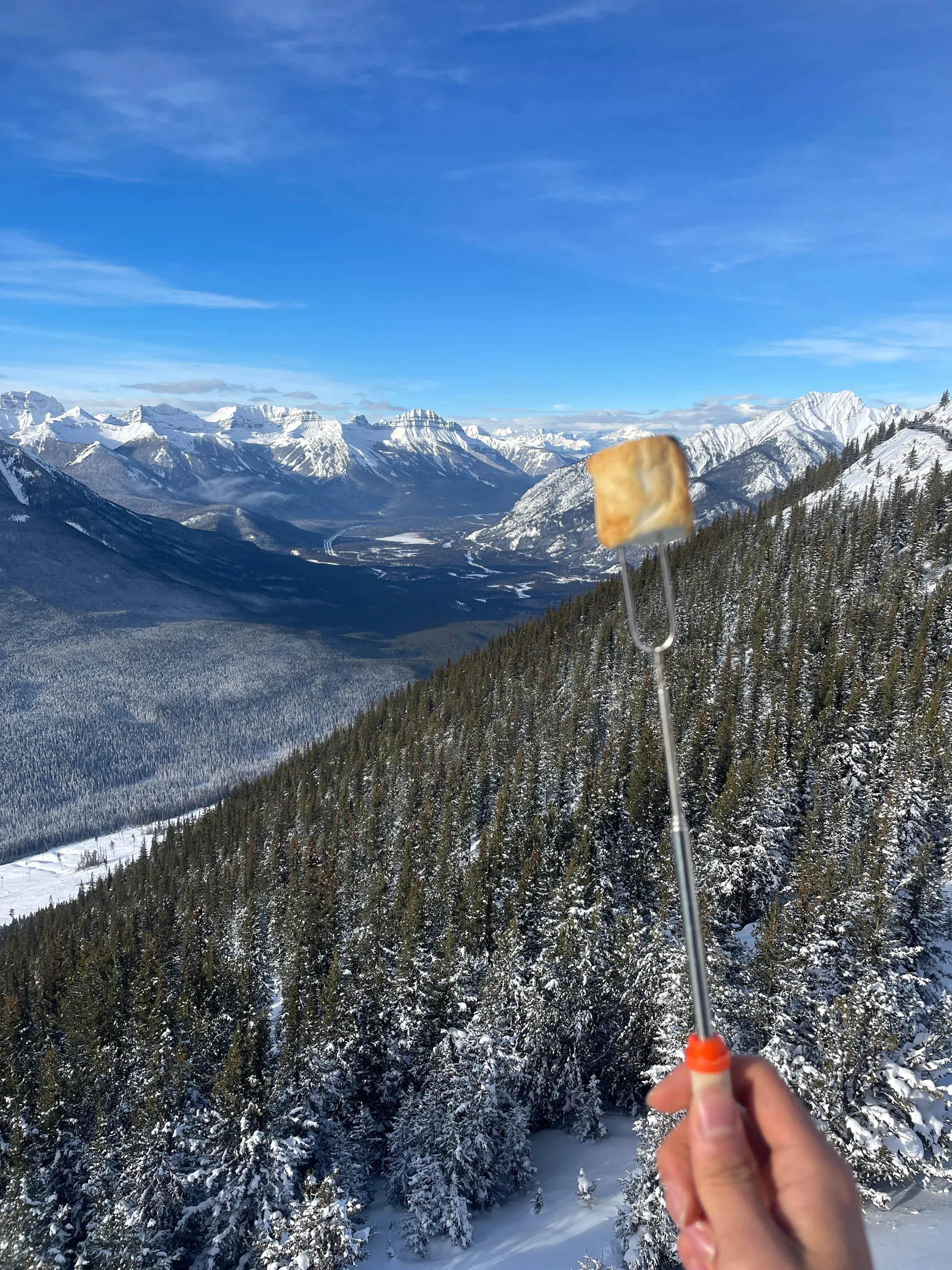 사진 포인트, 마쉬멜로우, 압도적 풍경… 이 여행 안 가면 후회합니다!