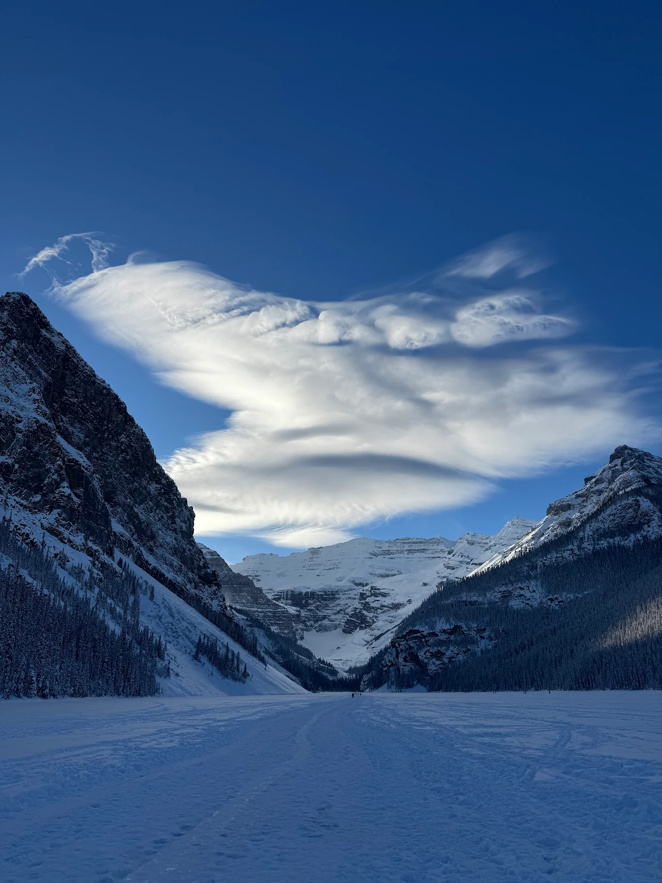 연수 전 선택한 최고의 로키산맥 투어