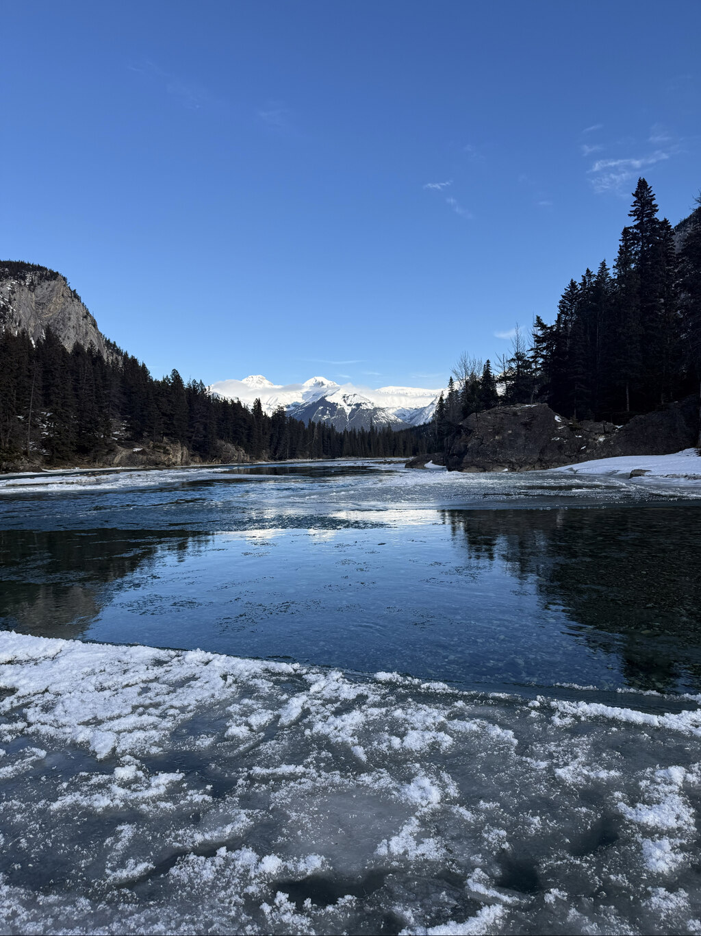 내돈내산 찐후기!!!! 후회 없는 선택