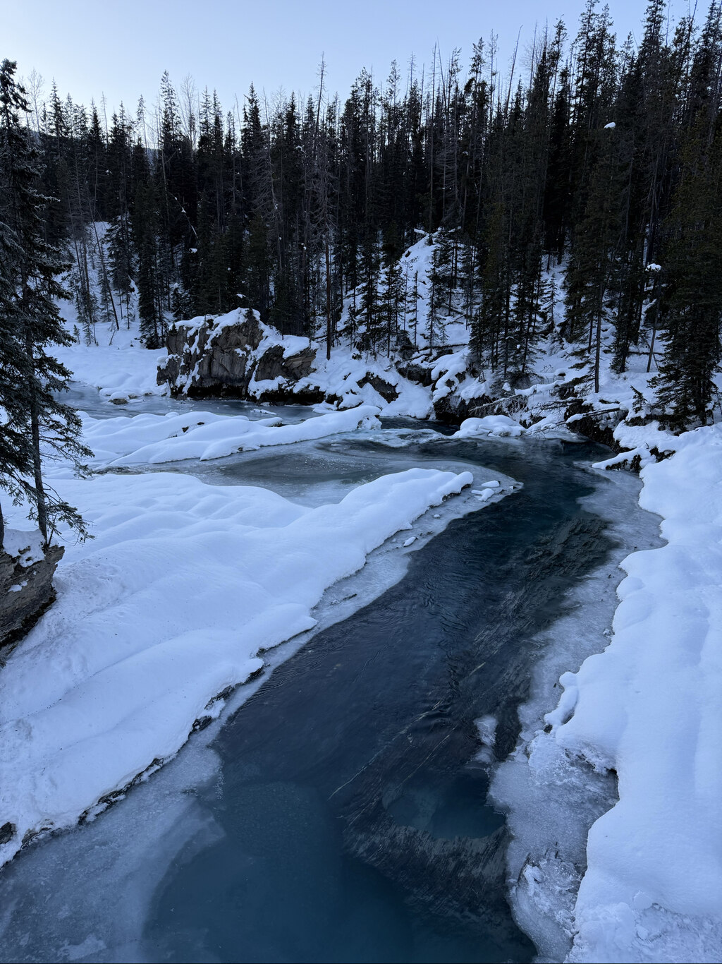 밴프 투어를 고민하시는 분들께 추천!!