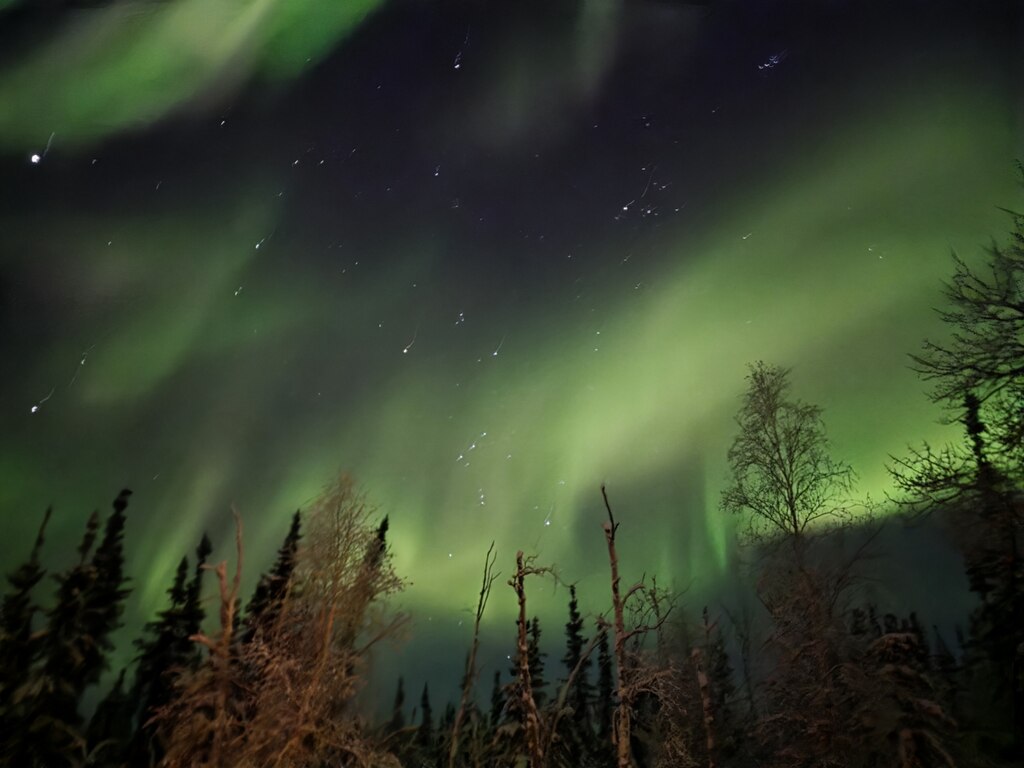 오로라부터 코티지, 개썰매까지… 잊지 못할 옐로나이프 여행 후기