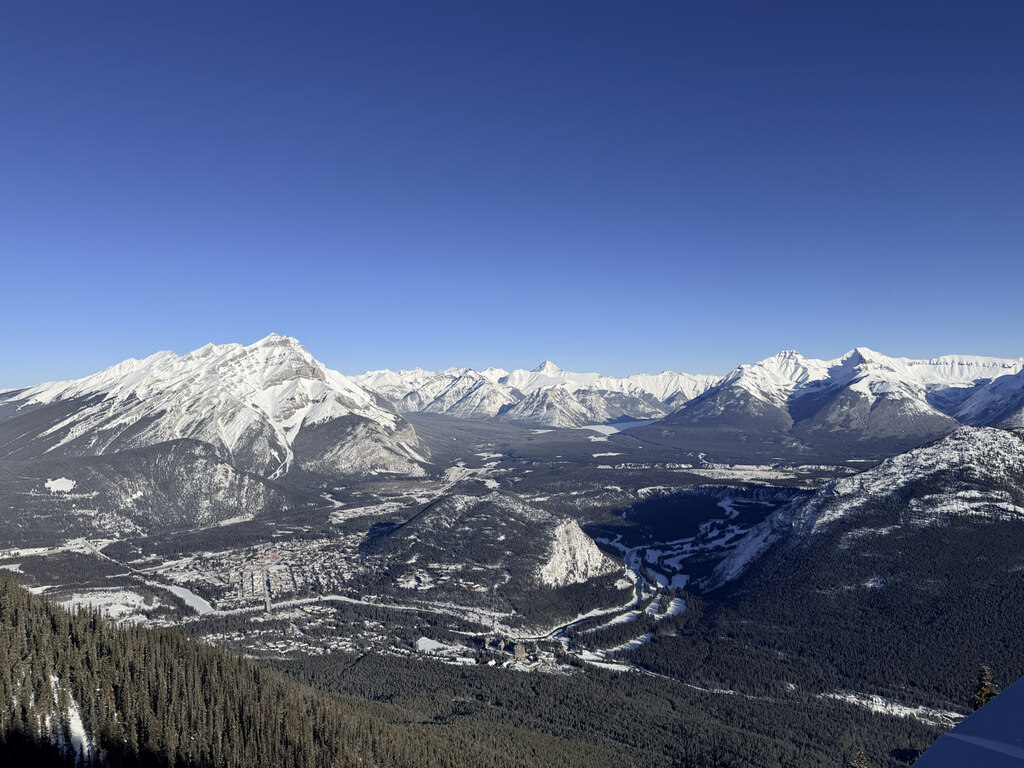 결혼35주년 기념