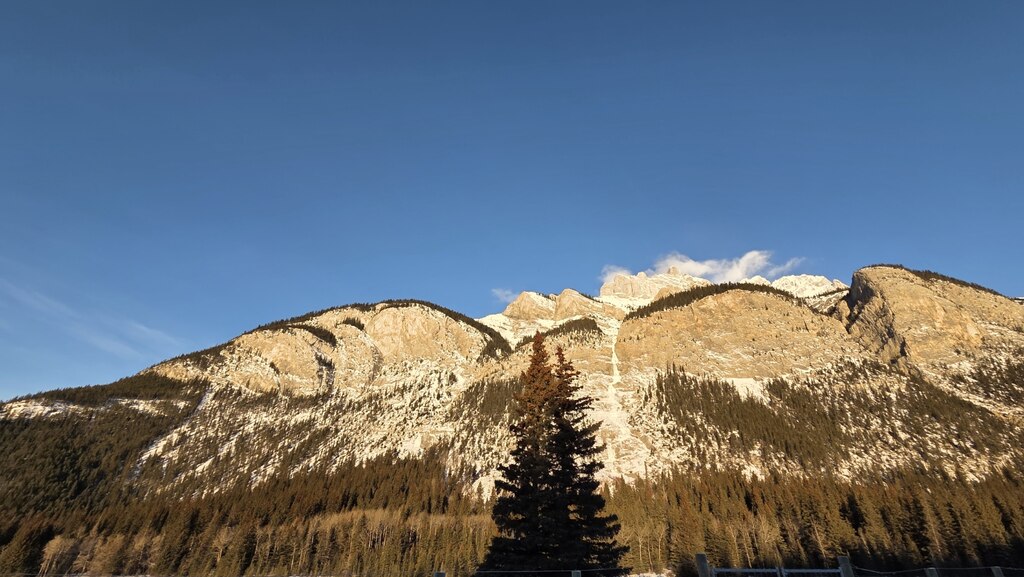 효율적으로 편하게  다양한 장소를 방문할 수 있어서 좋았어요.