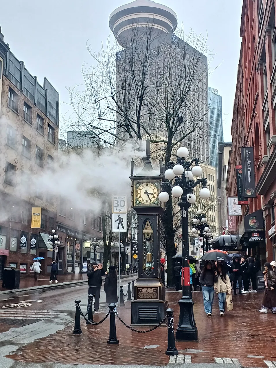 겨울 벤쿠버 여행을 고민하신다면 꼭 추천