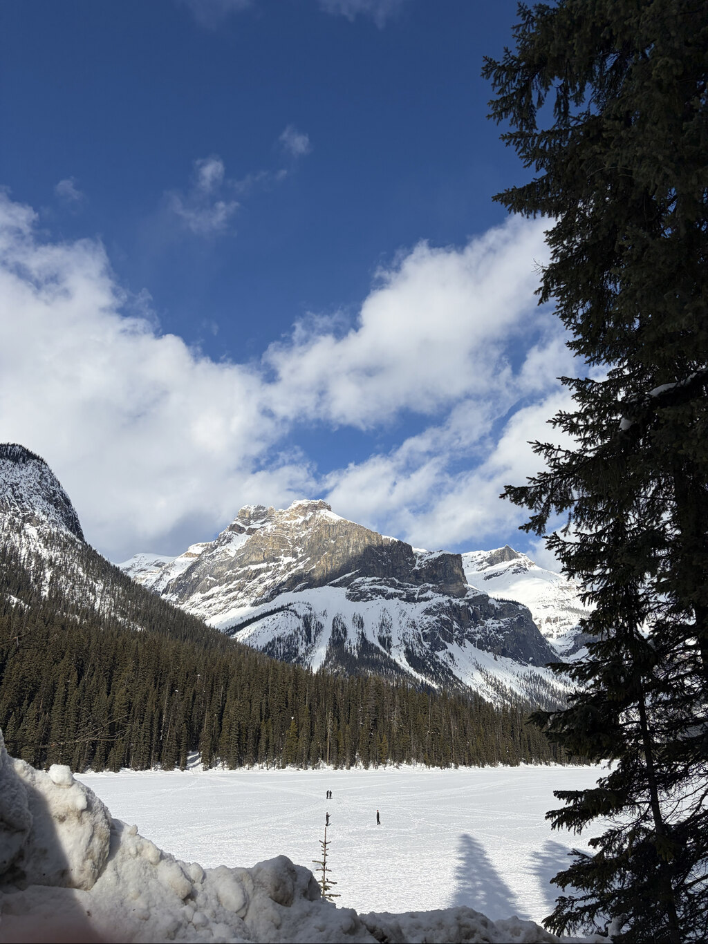 재밌게 잘 경험하고 갑니다