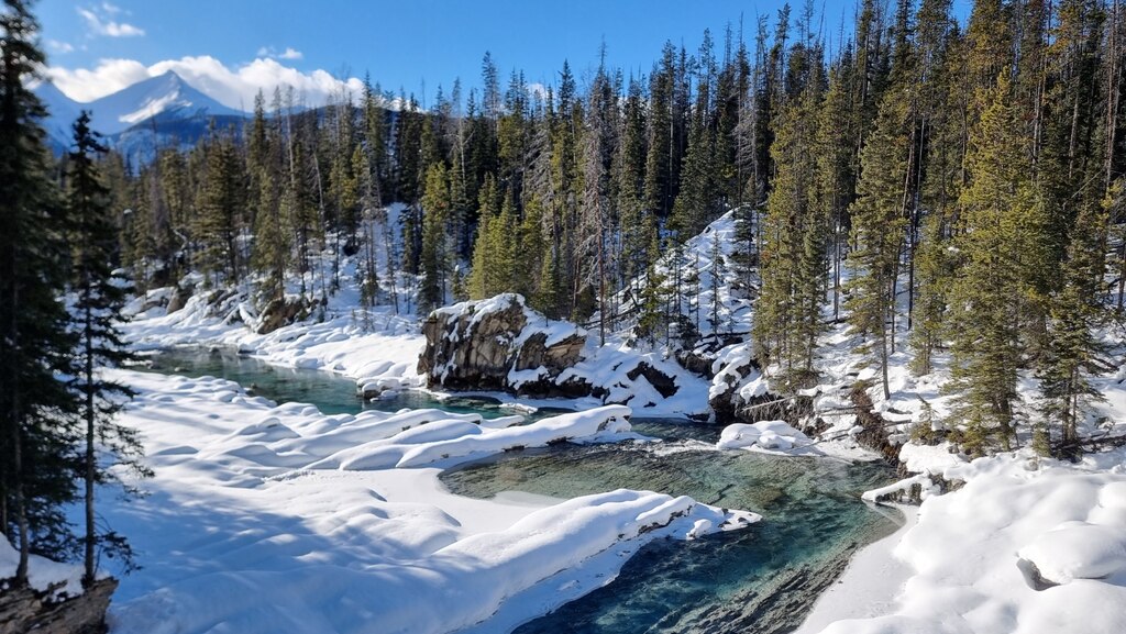 오케이투어 강추드립니다👍