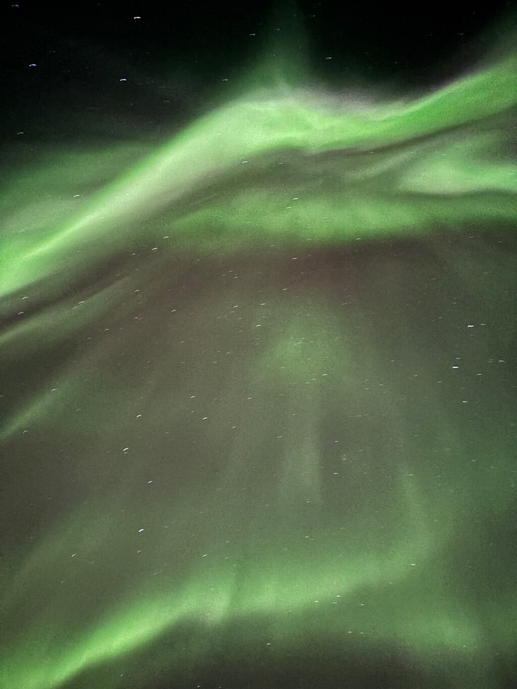 기다림 끝에 만난 댄싱 오로라, 만족스러운 옐로나이프 투어