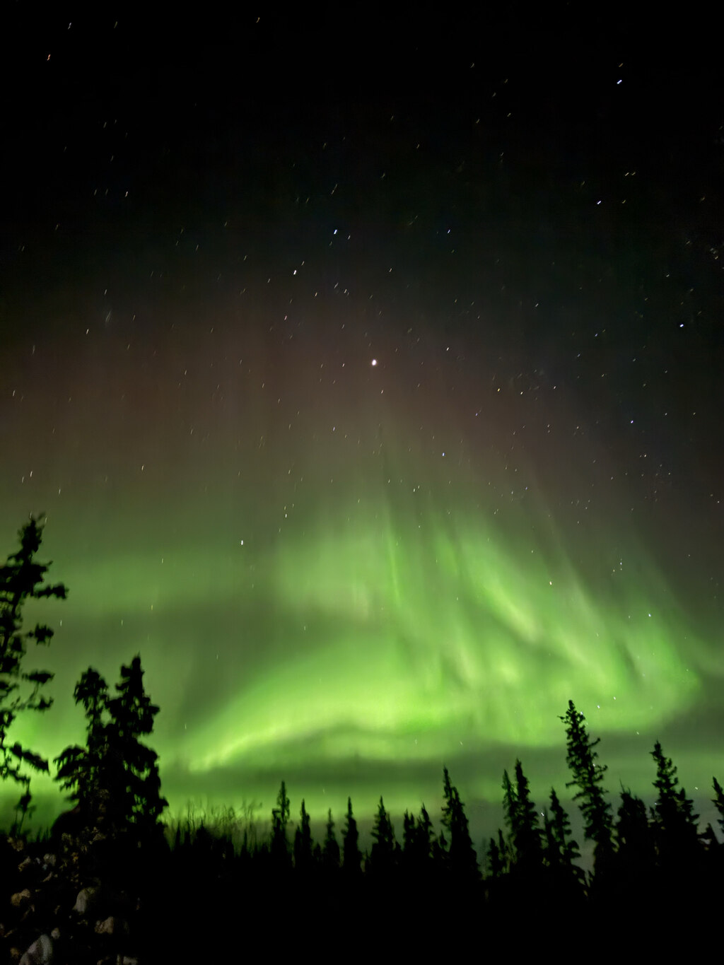 후기 보고 예약했는데… 직접 가보니 더 완벽했던 옐로나이프 오로라 투어