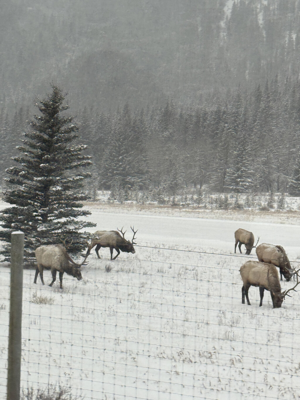 이번 여행이 너무 좋아서, 잊지 못 할 소중한 여행!