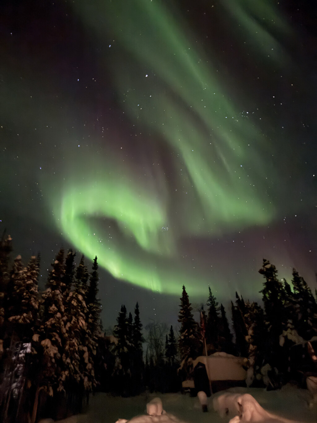 아이슬란드에선 실패, 옐로나이프에선 대성공!! 감동의 오로라투어