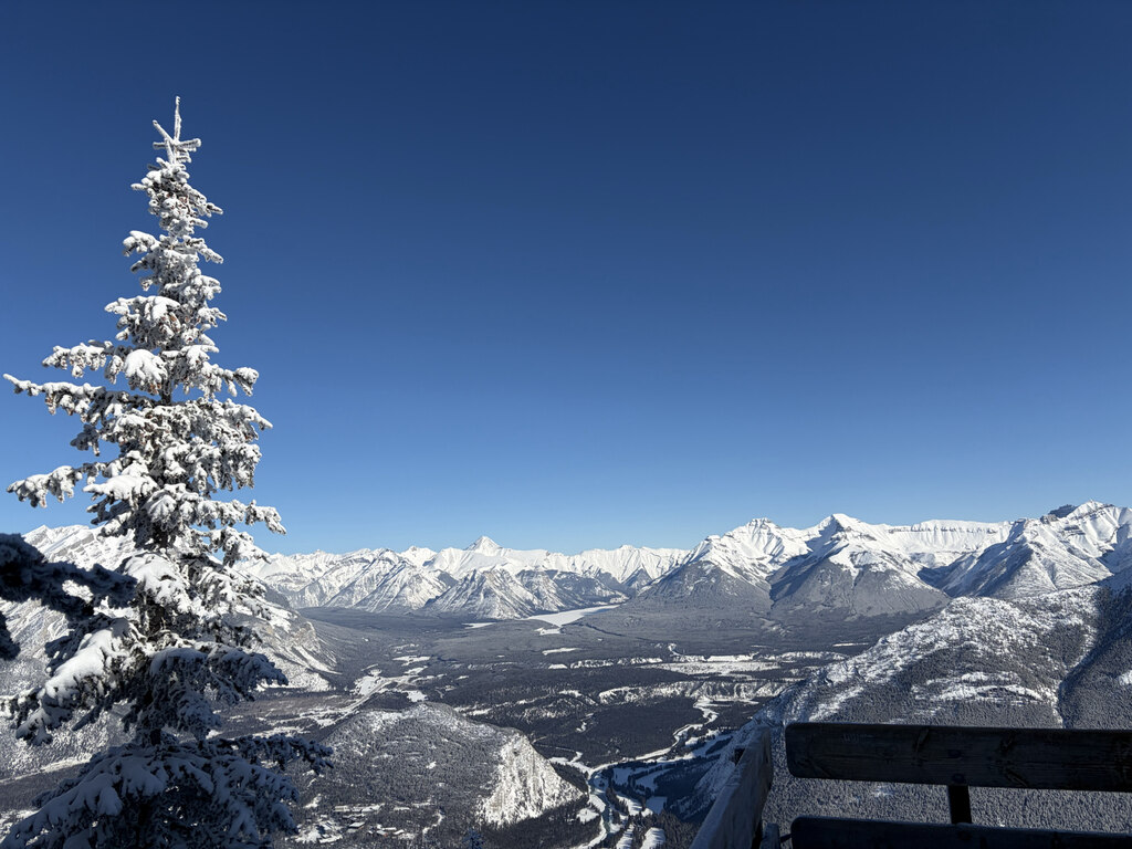 매우 만족스러웠습니다. 추천합니다.