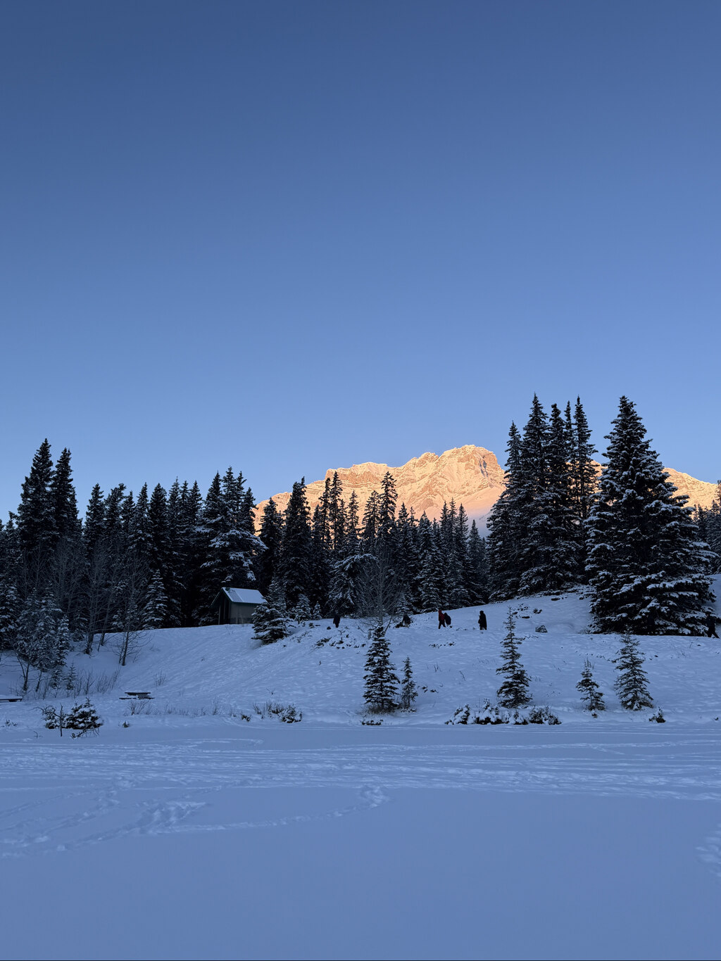다른 계절에도 주저없이 오케이투어를 이용!
