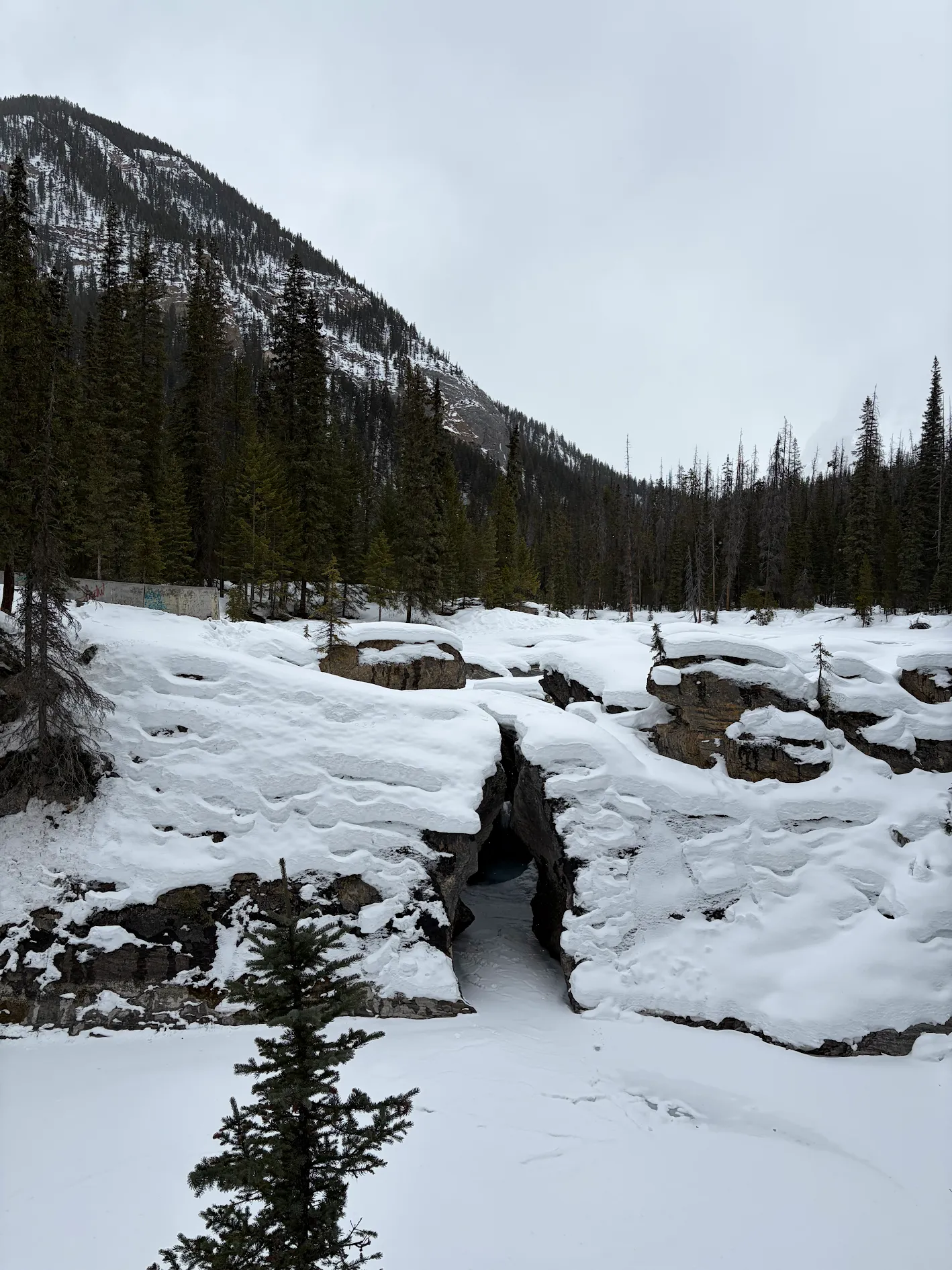 생각지도 못한 특별한 경험 !