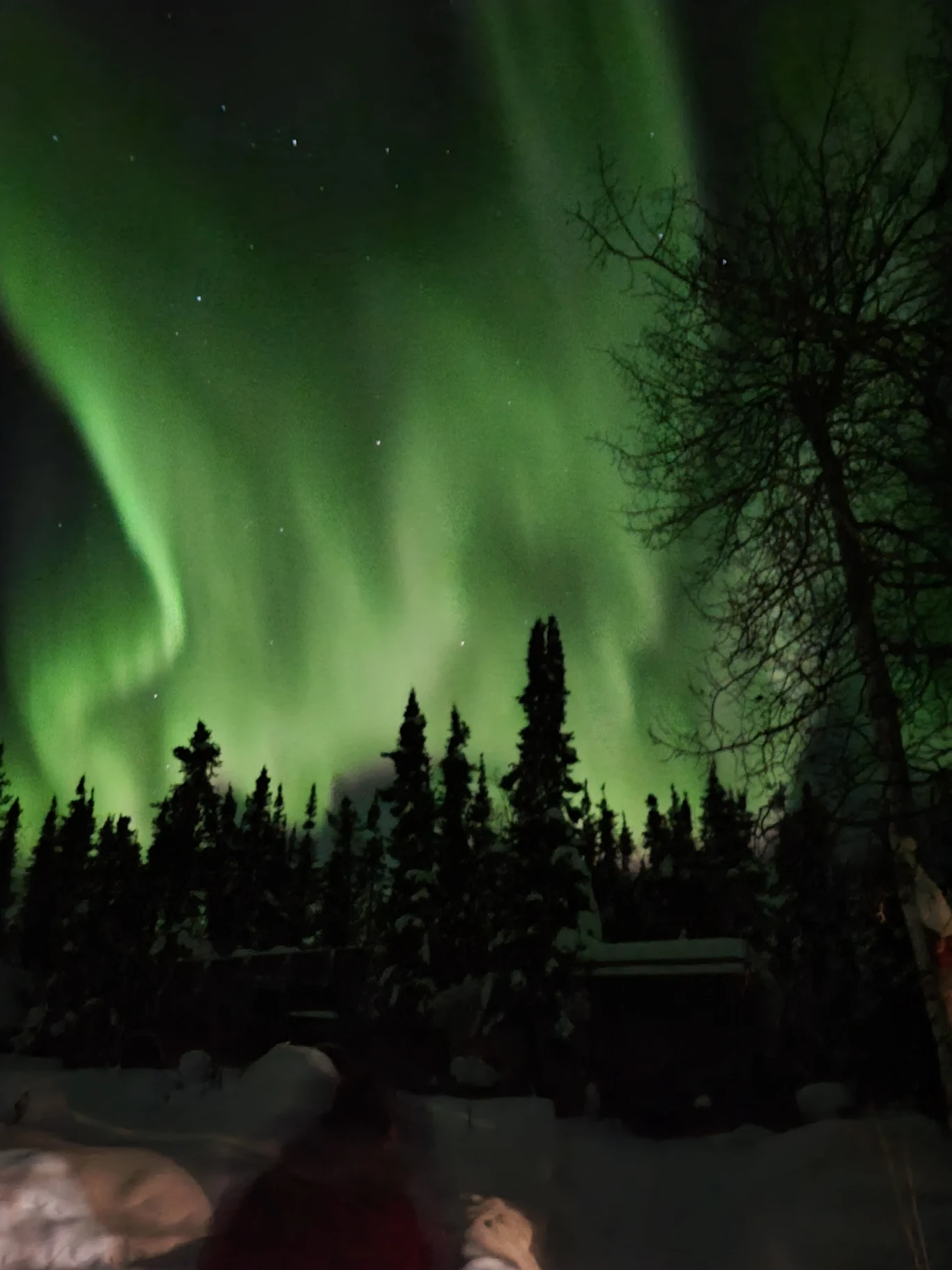 코티지에서 즐긴 특별한 식사와 감동적인 오로라