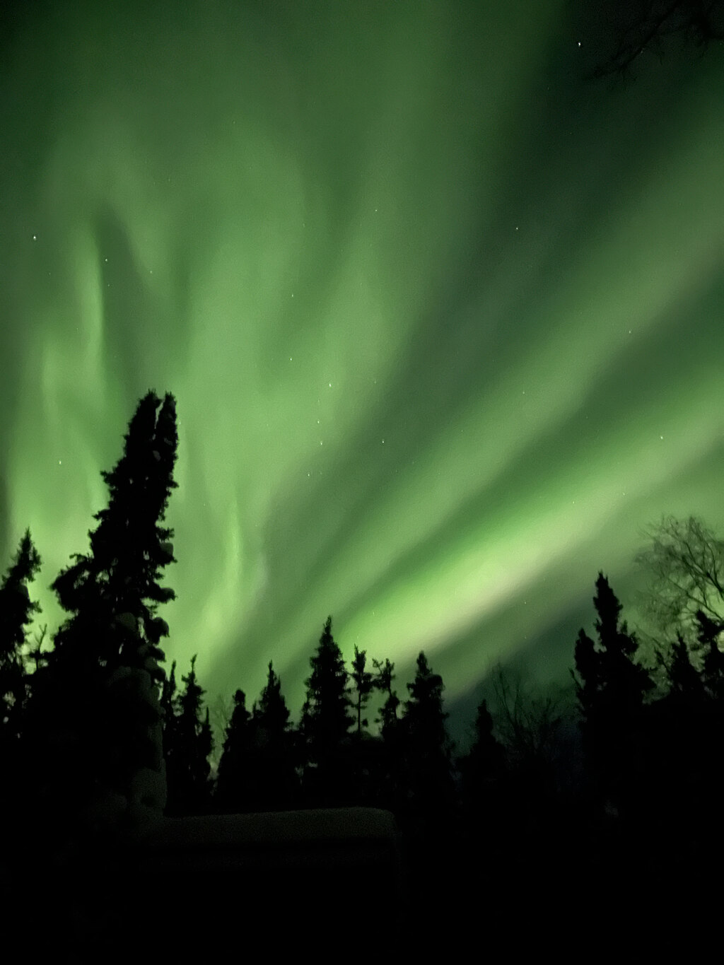 감동적으로 알차게 즐긴 옐로나이프 여행!