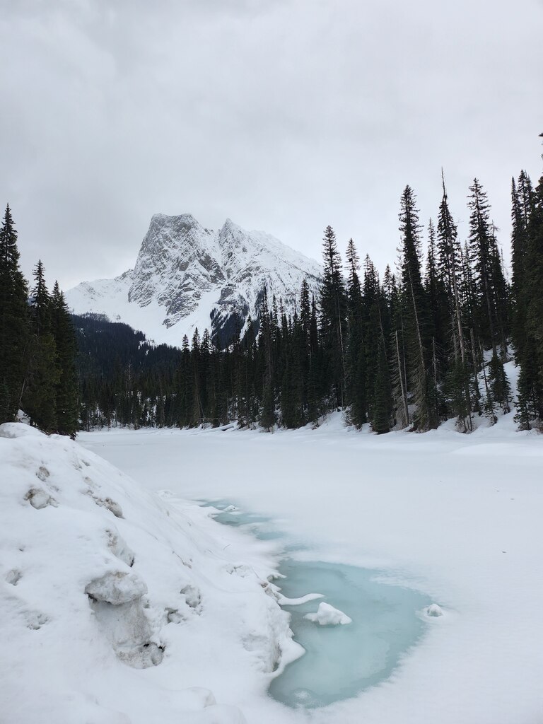 처음해보는 패키지 투어, 편하게 유명한 관광지를 가볼 수 있어서 정말 좋았어요. 