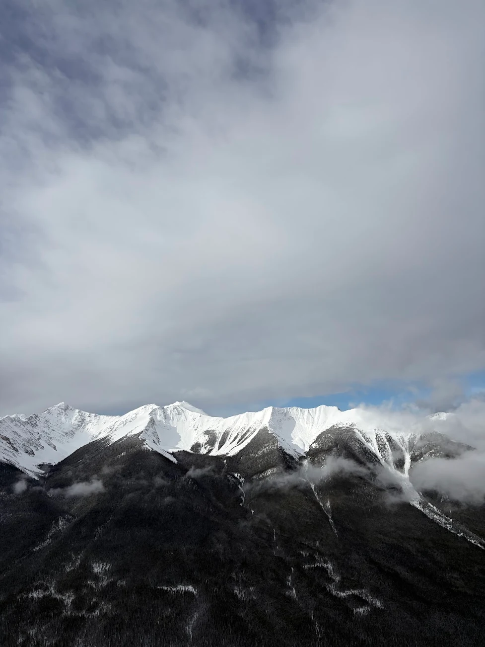다음 여행때도 재 이용하겠습니다 😊