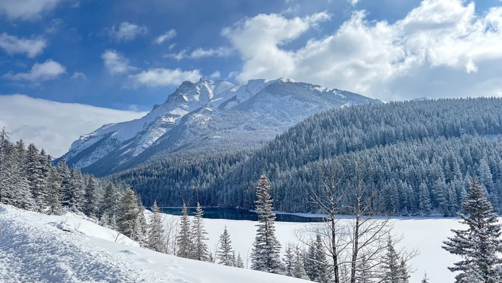 아버지 환갑 기념으로 여행지, 오케이투어를 선택하길 참 잘한것 같습니다!