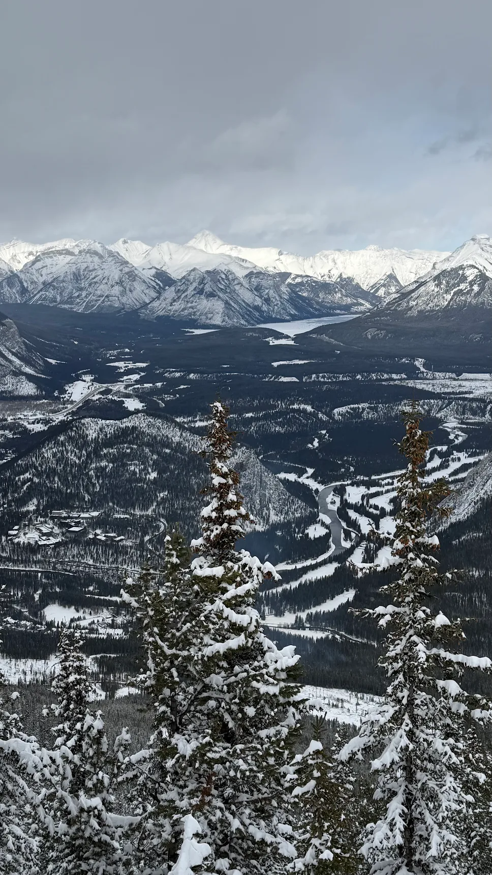 눈길에 구석구석 다 보여 주시려 애쓰시고 늘 웃음으로 인사해 주셔서 행복한 여행을 했네요..