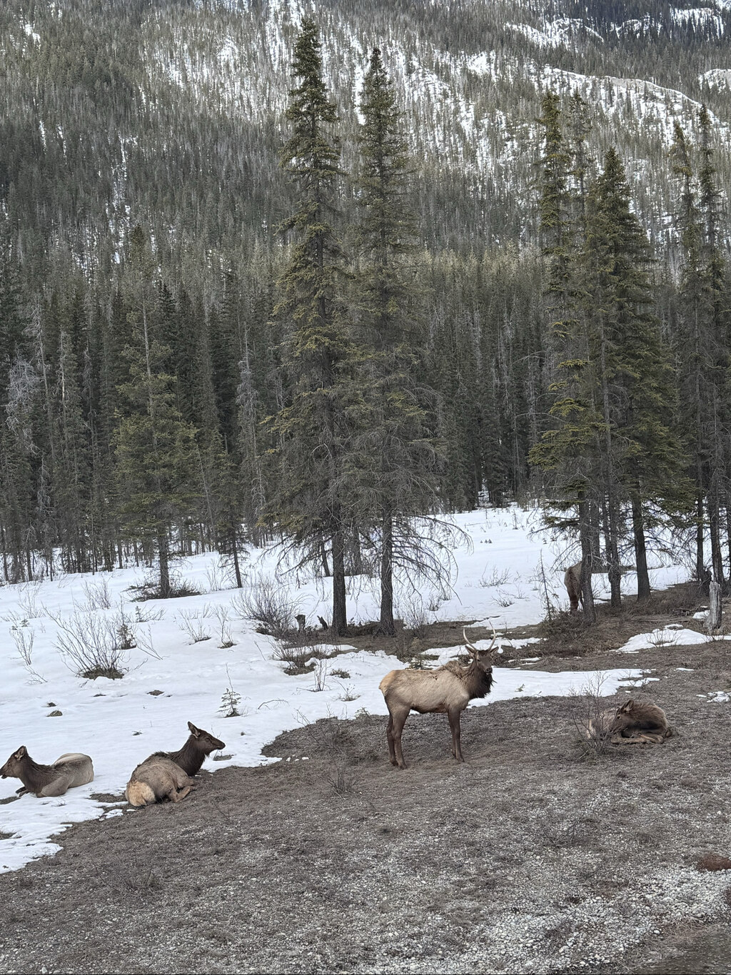 열정적으로, 여러 아름다운 장소를 데려다주셨어요.