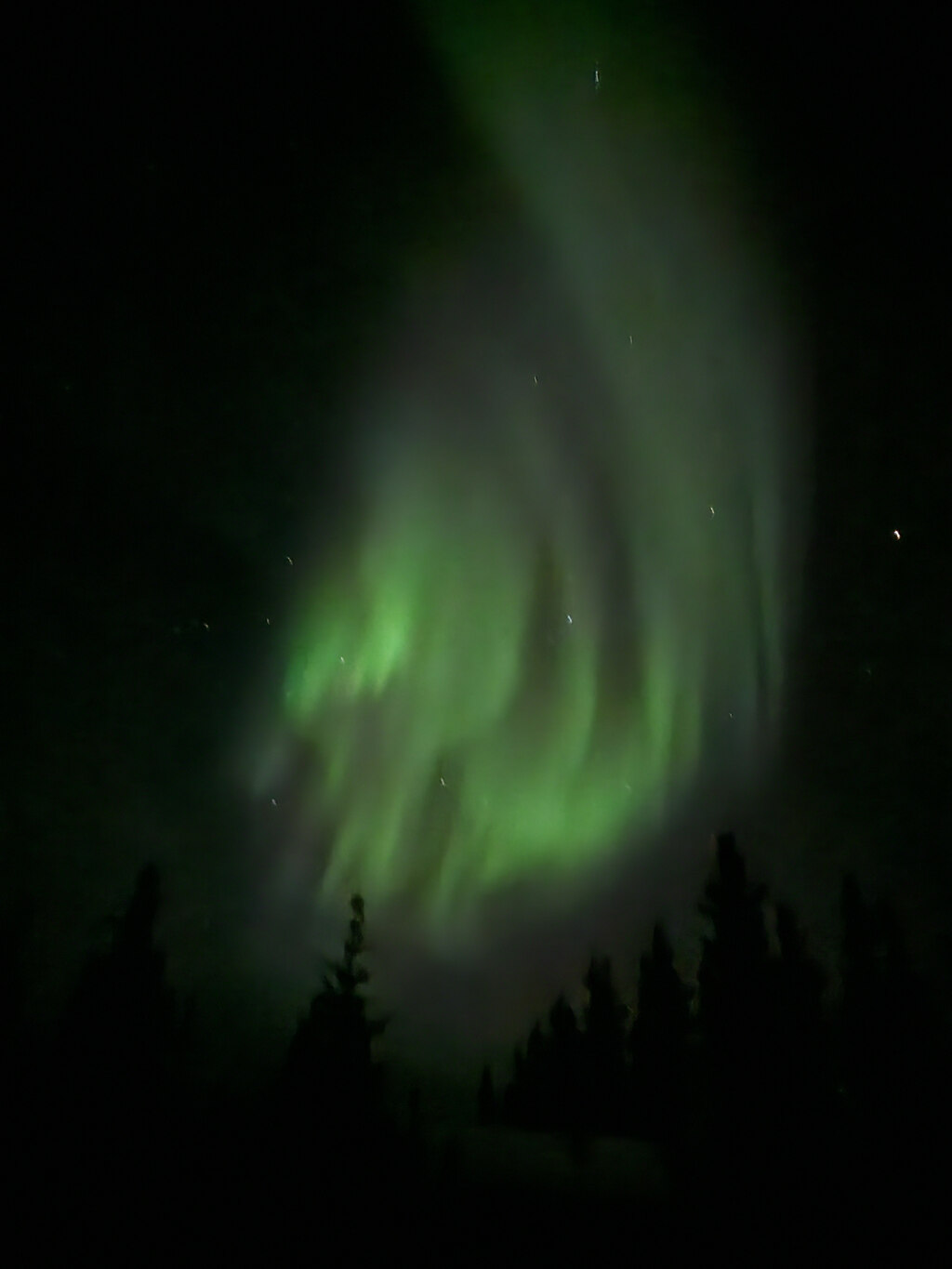 ✨ 시즌 마지막에 만난 행운의 오로라, 잊지 못할 순간 ✨