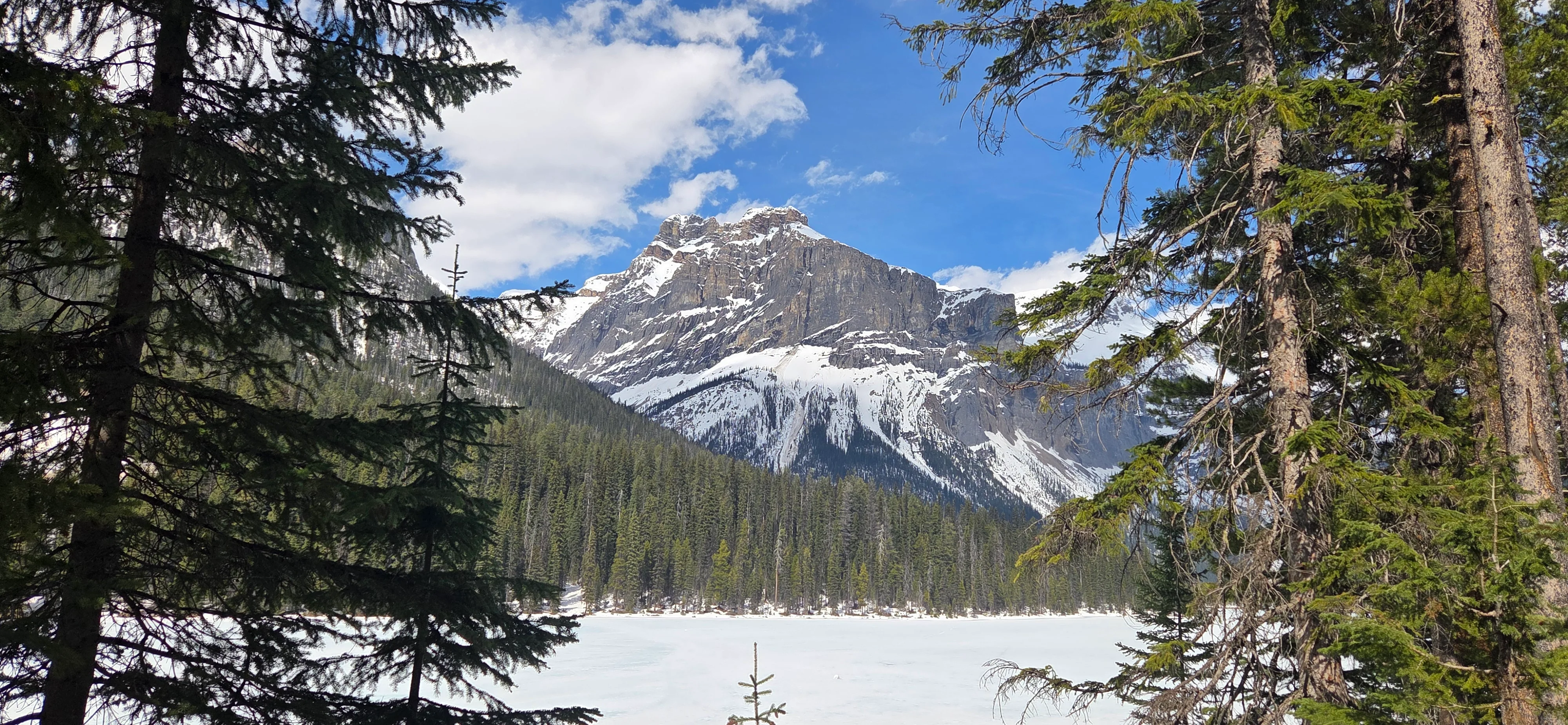 빙하 모자를 쓴 설산, 눈호강 마음 호강 힐링의 시간이었다.