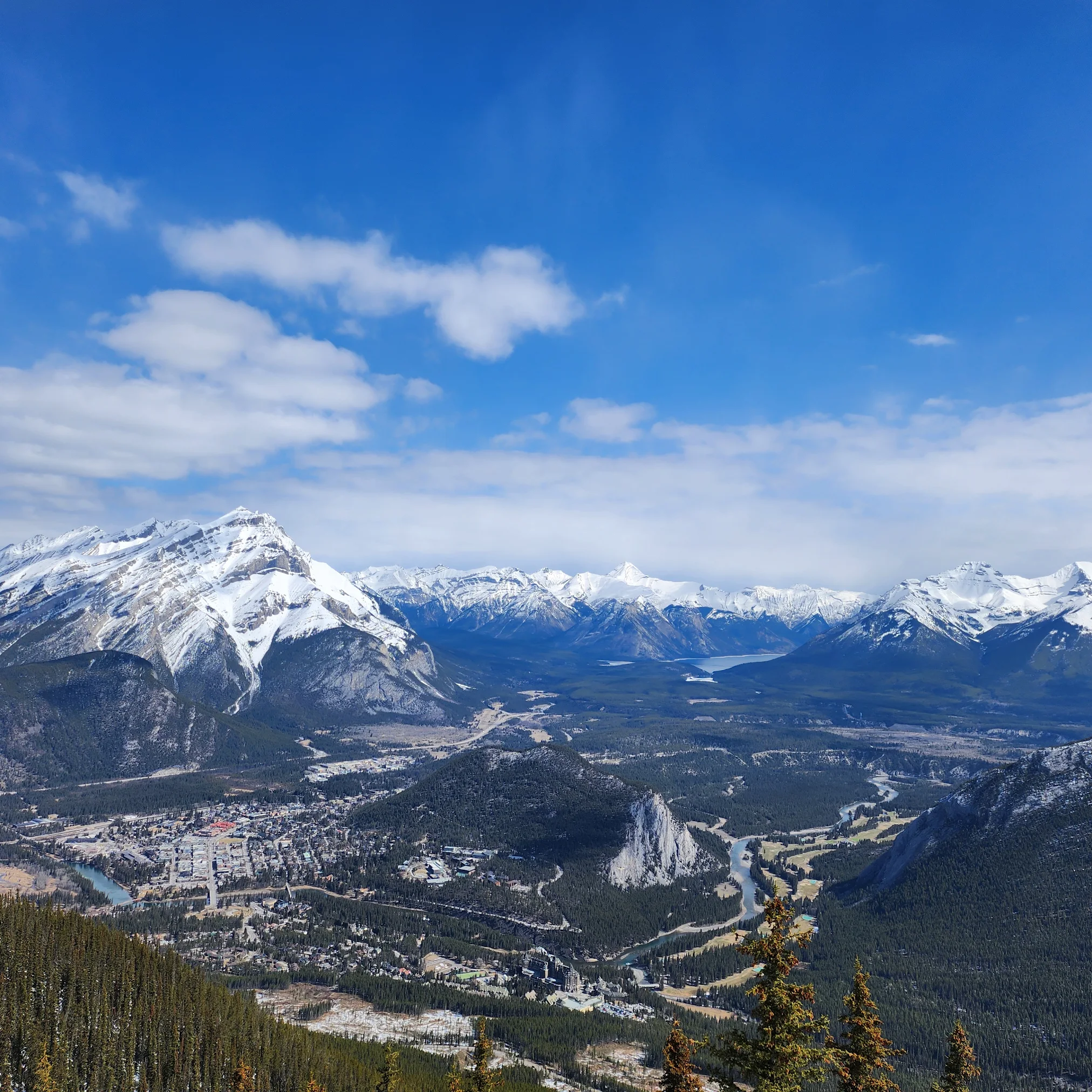 담에 캐나다 다시 온다면 또 함께하고 싶습니다. 강추!!