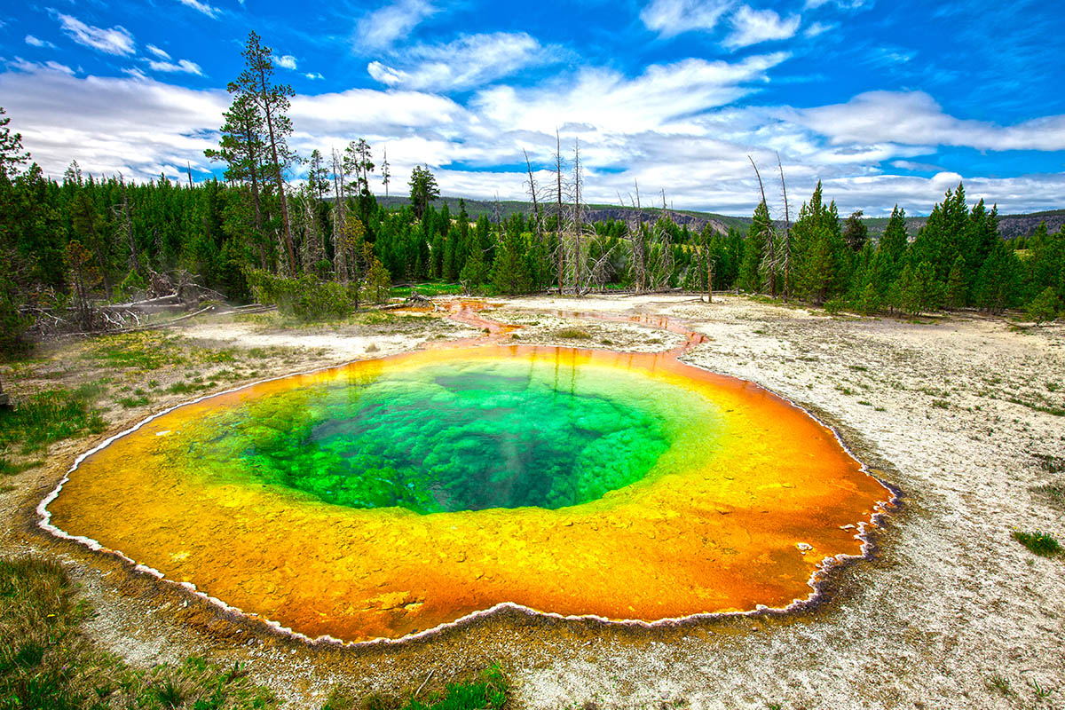  Spring in Yellowstone