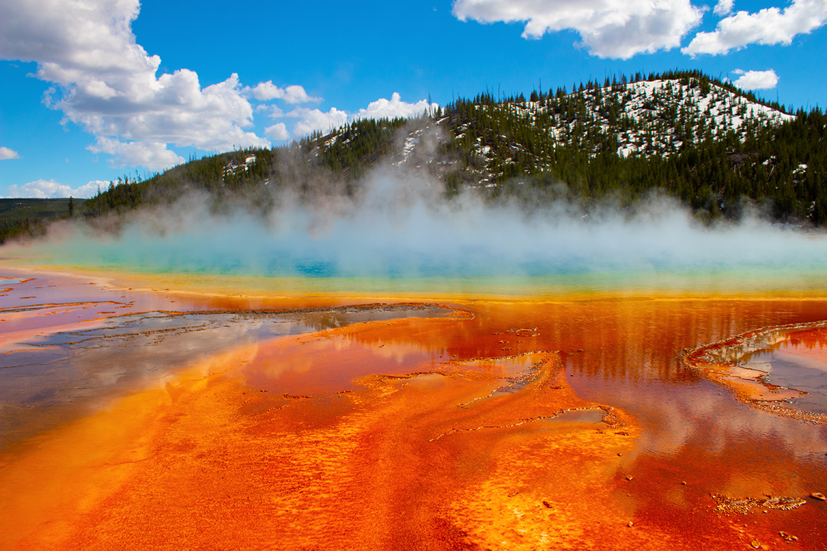Yellowstone National Park 4D3N