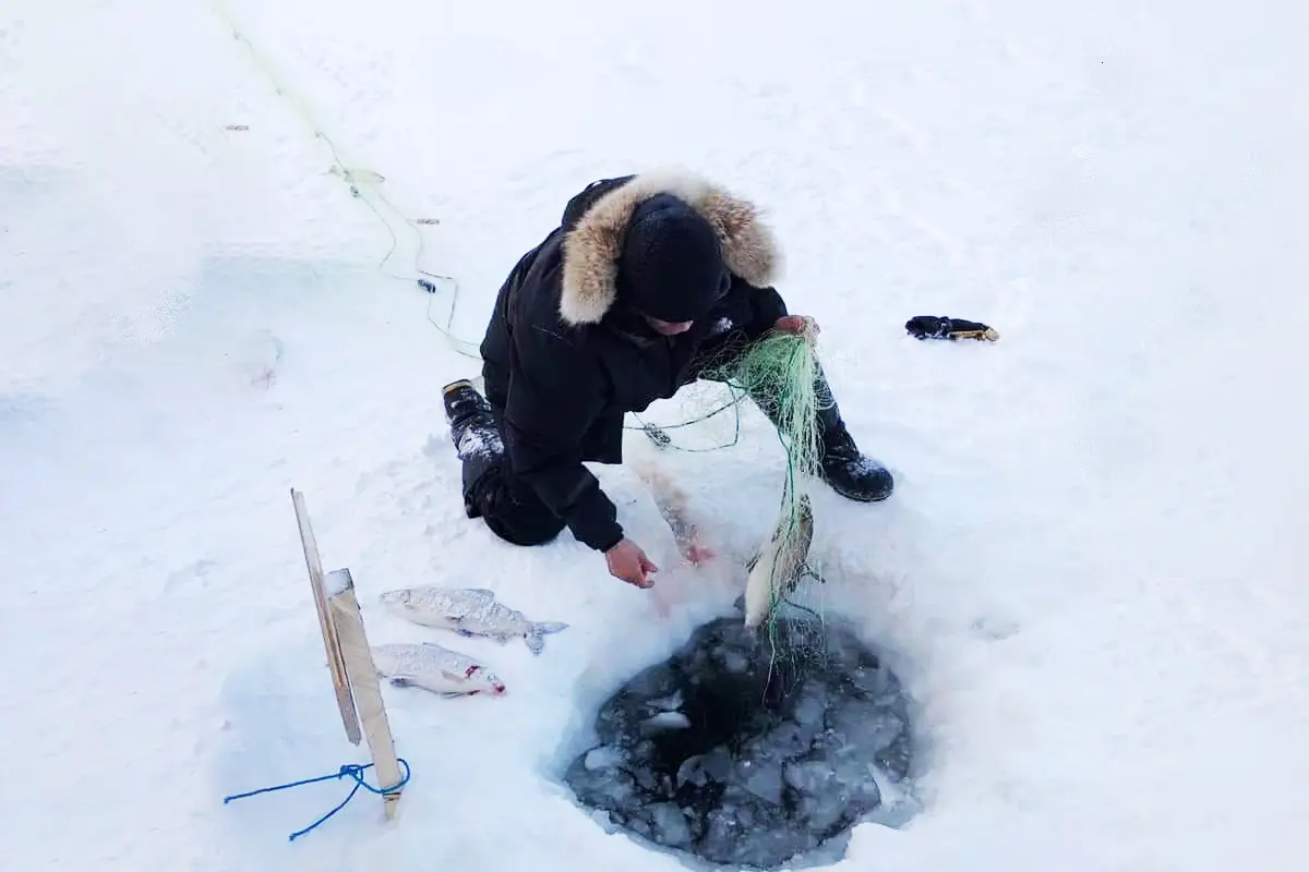 Ice Fishing 