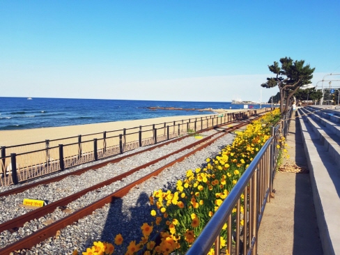 정동진 레일 바이크