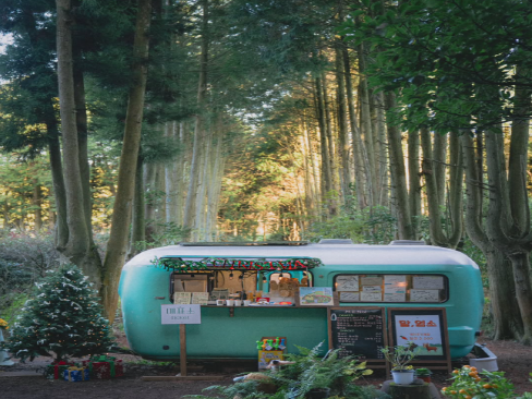 안돌오름 비밀의 숲