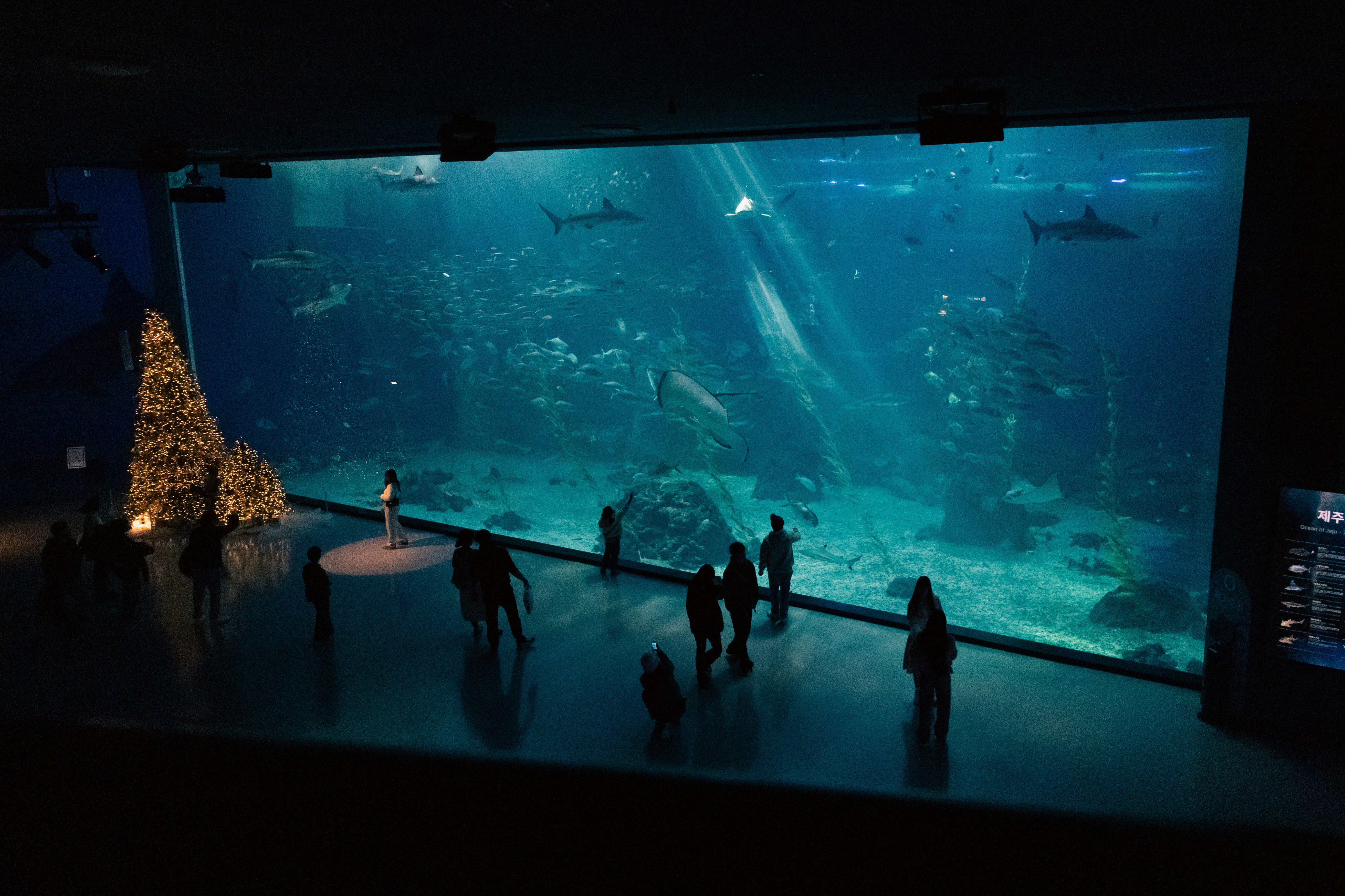 제주 아쿠아플래닛