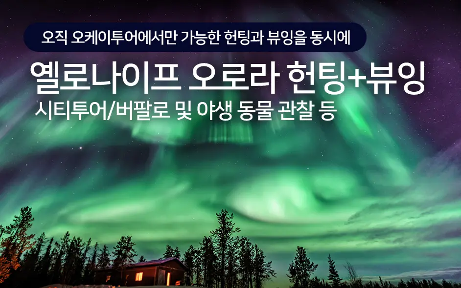 세계 최고의 오로라 관측지 - 환상의 옐로우나이프 오로라