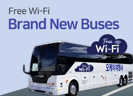 Free wifi & usb charghing - Brand new tour buses