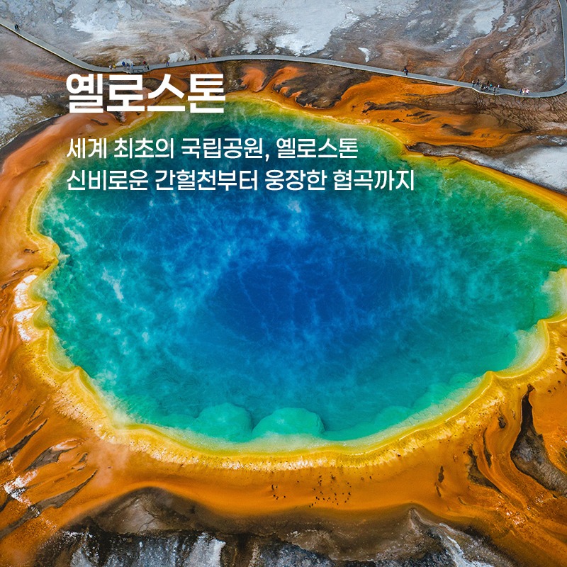 옐로스톤