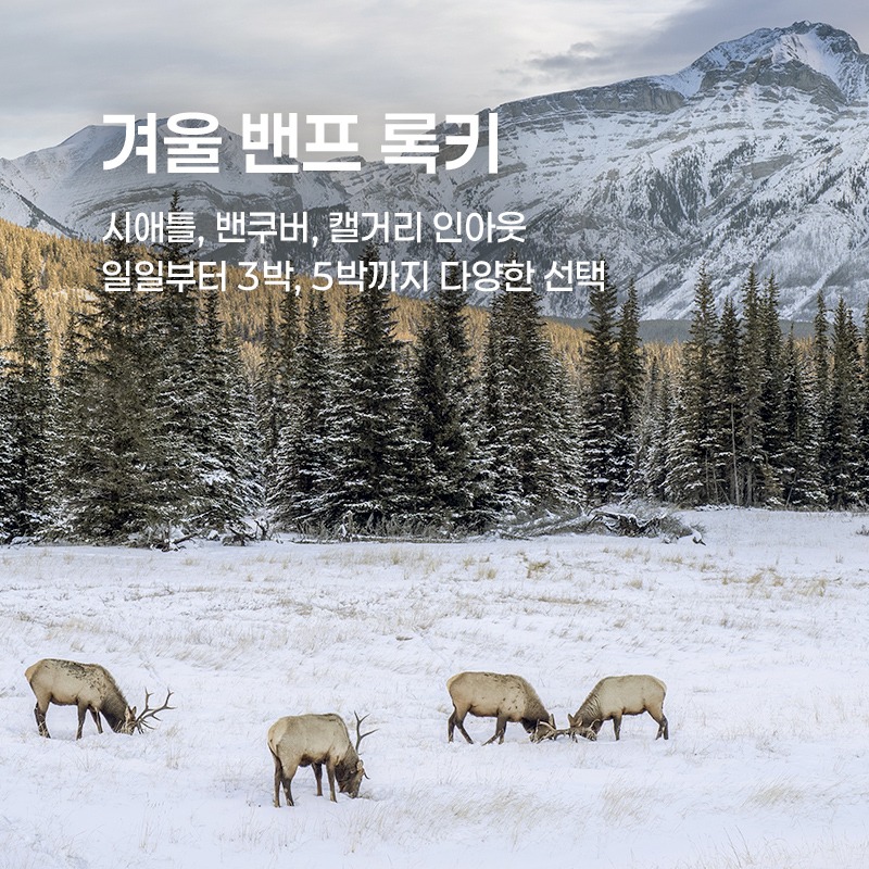겨울 밴프 록키